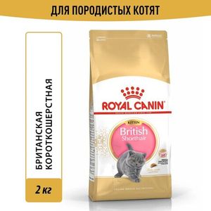 Корм для котят, Royal Canin British Shorthair Kitten, для породы британская короткошерстная в возрасте от 4 до 12 месяцев