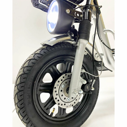 Электровелосипед GreenCamel Транк Монстр PRO (R16FAT 500W 60V20Ah) гидравлика