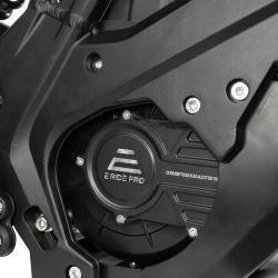 Электромотоцикл E RIDE Pro-SS 19