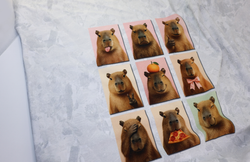 КАПИБАРА КОЛЛАЖ - Кулирка с лайкрой, компакт пенье (ДЖ68 Маша)