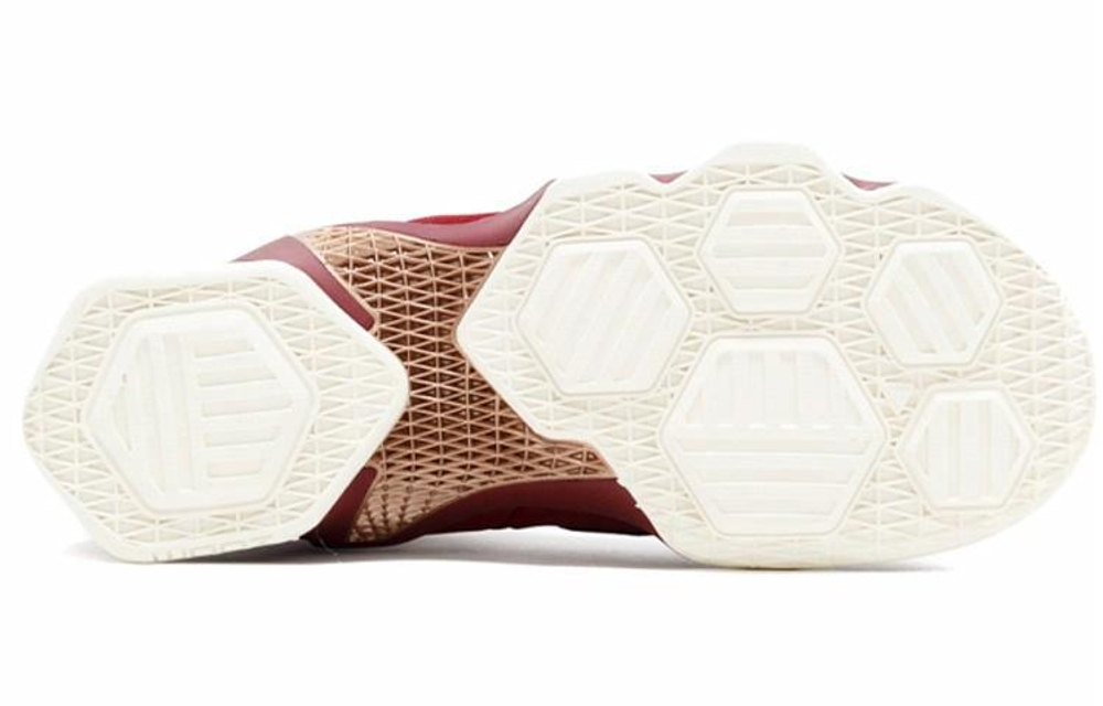 Кроссовки Nike Lebron 13 Bronze