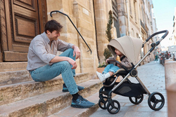 Детская коляска Anex iQ Premium NT 2 в 1 iQ-13-DNA seal