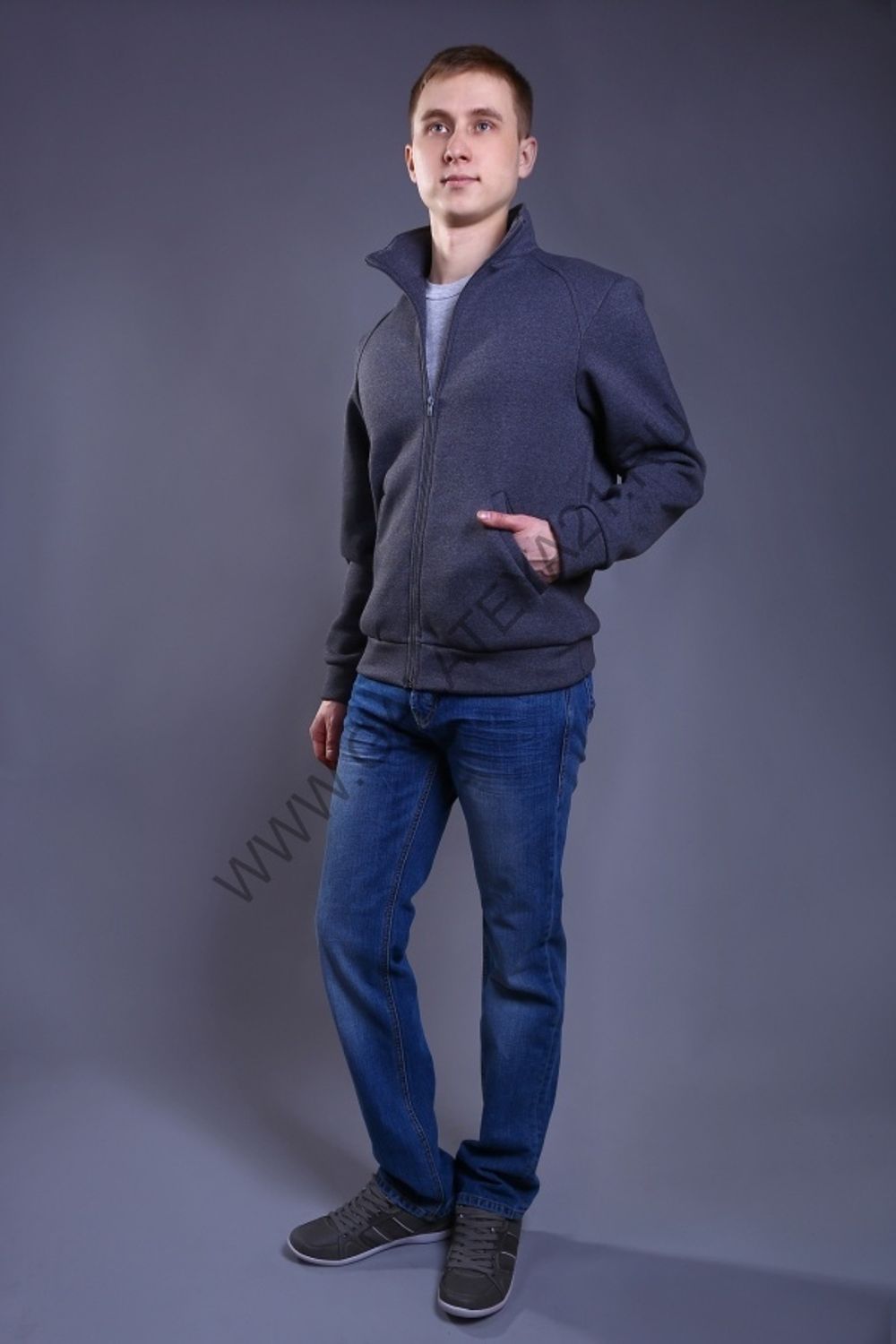 С-1554-1 Толстовка без капюшона / с начёсом