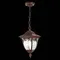 SL083.703.01 Светильник уличный подвесной ST-Luce Кофейный/Кофейный, Прозрачный E27 1*60W CHIANI