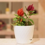 Горшок для цветов пластиковый 1л d-13,5см «Румба» белый