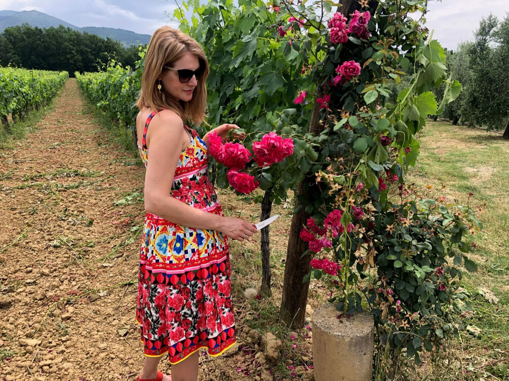 🏆Кухонный нож Alexander S AUS-8 Red G10