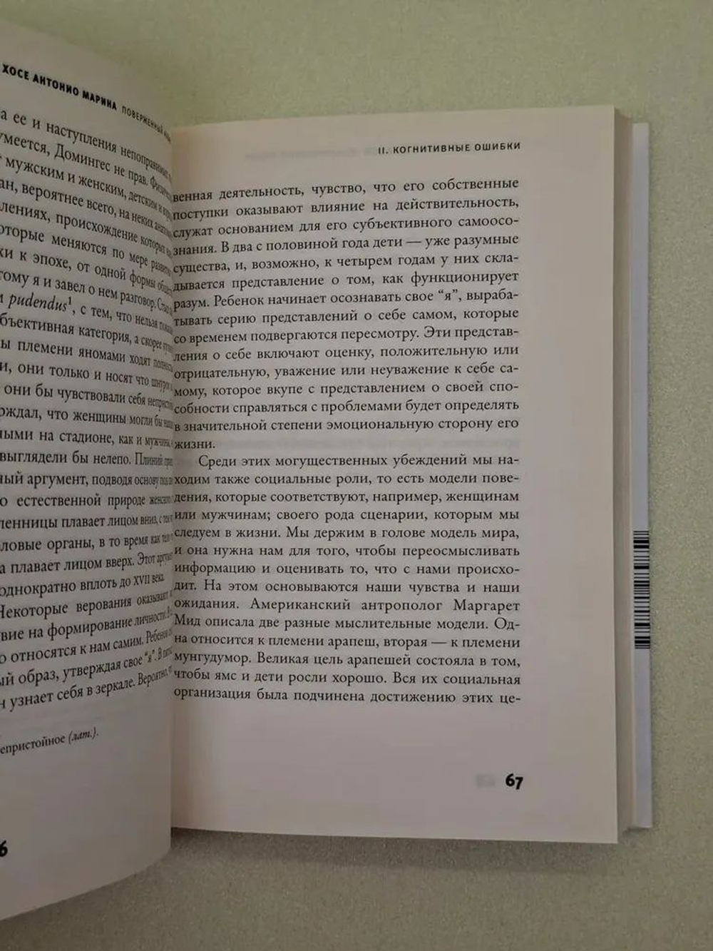 Поверженный разум