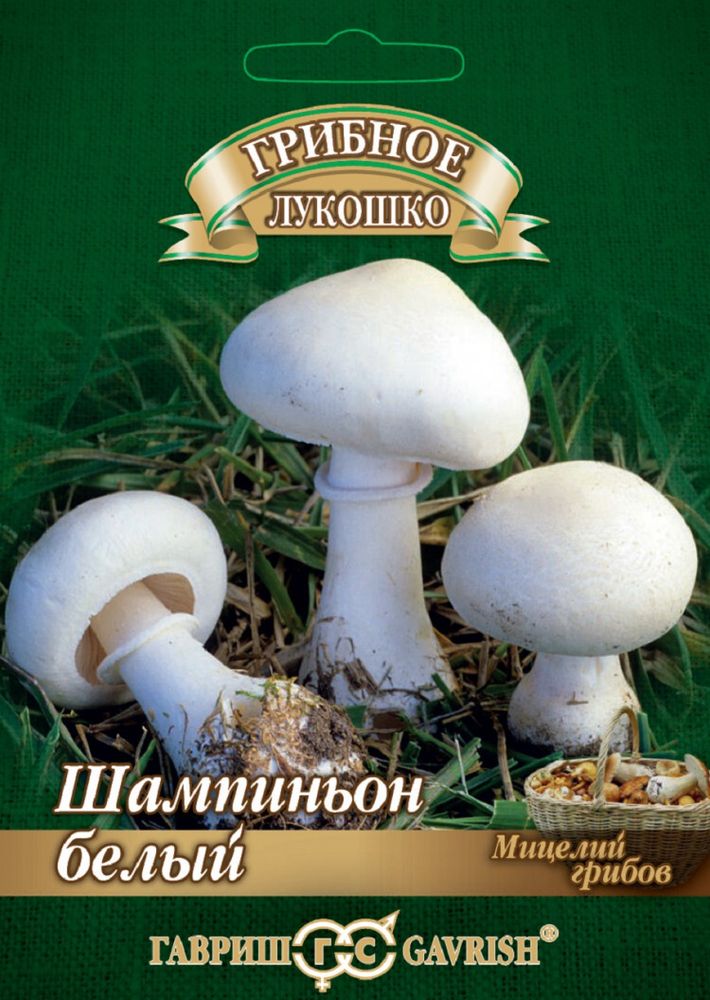 Грибы Шампиньон Белый на зерновом субстракте 15мл Ц Гавриш