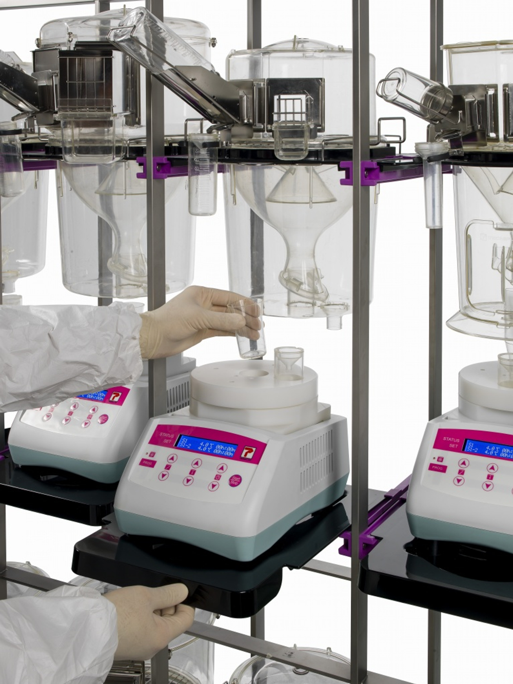 Метаболические клетки