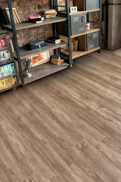 SPC ламинат Alpine Floor Гранд Секвойя Маслина