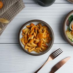 Салатник 300 мл d 14,3 cм h4,2 cм White Matt New Brown Taiga P.L. [6]