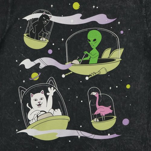 Футболка мужская Ripndip The Nermsons Tee артикул:RND7081 - купить в магазине Дайс