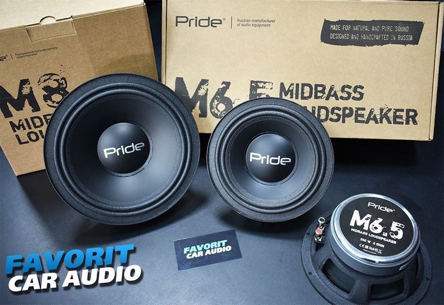 !!Запомните!!⁣⁣ Настоящий Mid Bass выглядит именно так