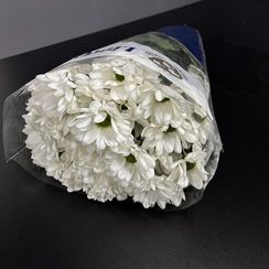 Кустовая хризантема Chic (Чик), 105 гр, Нидерланды