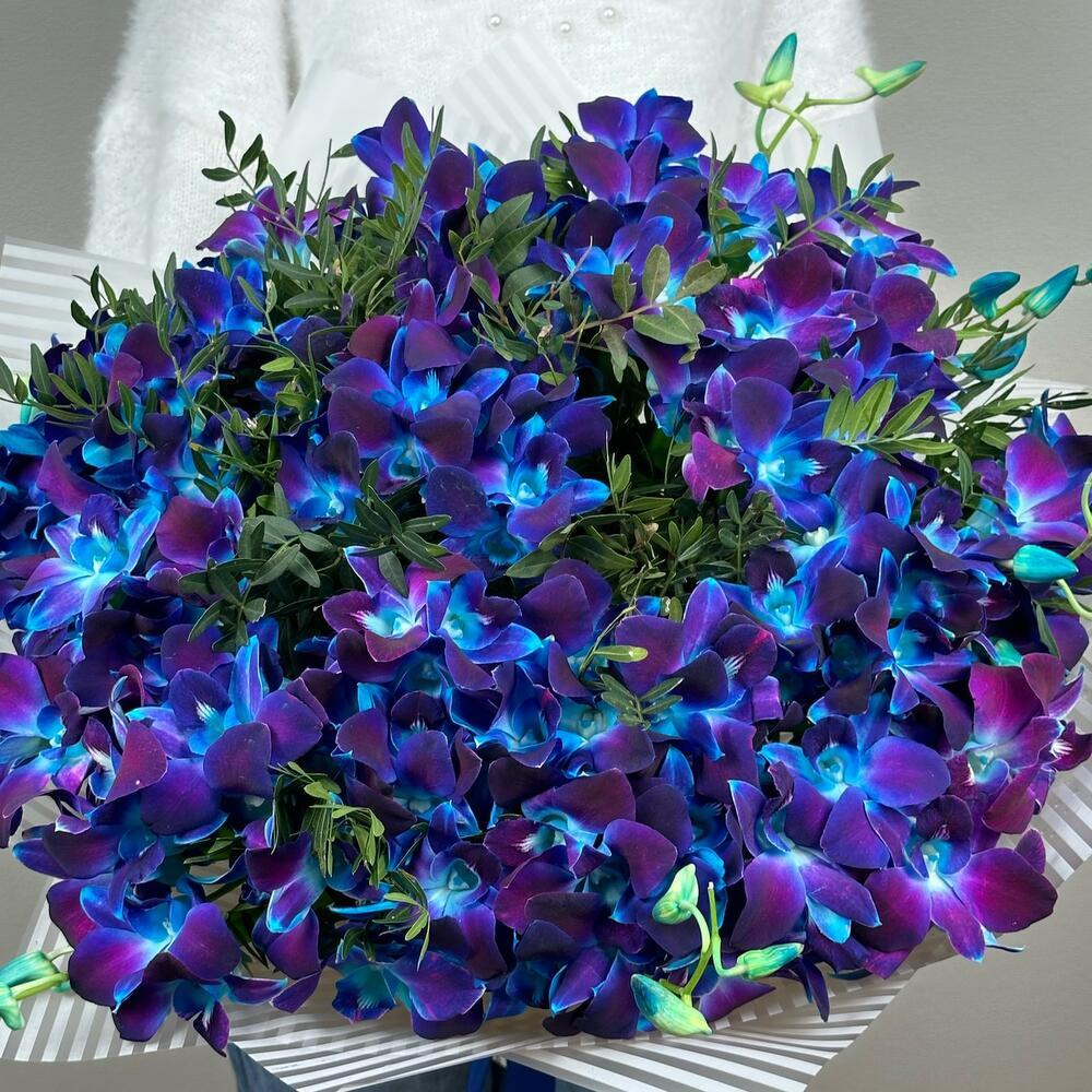 Букет из синих орхидей Космос в руках XXL. Букет 7424