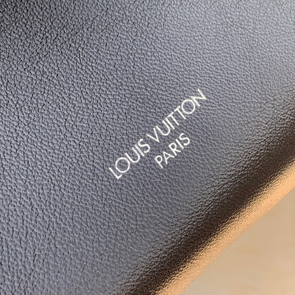 Louis Vuitton CarryAll BB
