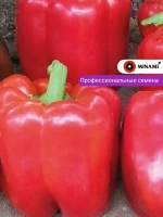 Перец сладкий Тебека F1