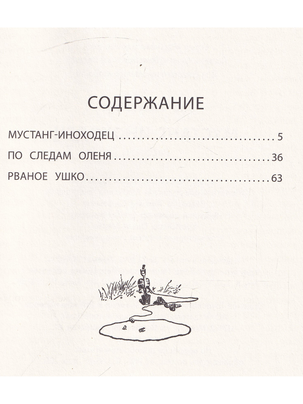 Мустанг-иноходец