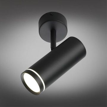 Светильник настенно-потолочный OML-102209-12