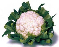 Кашмир F1 семена капусты цветной (Sakata / Саката)
