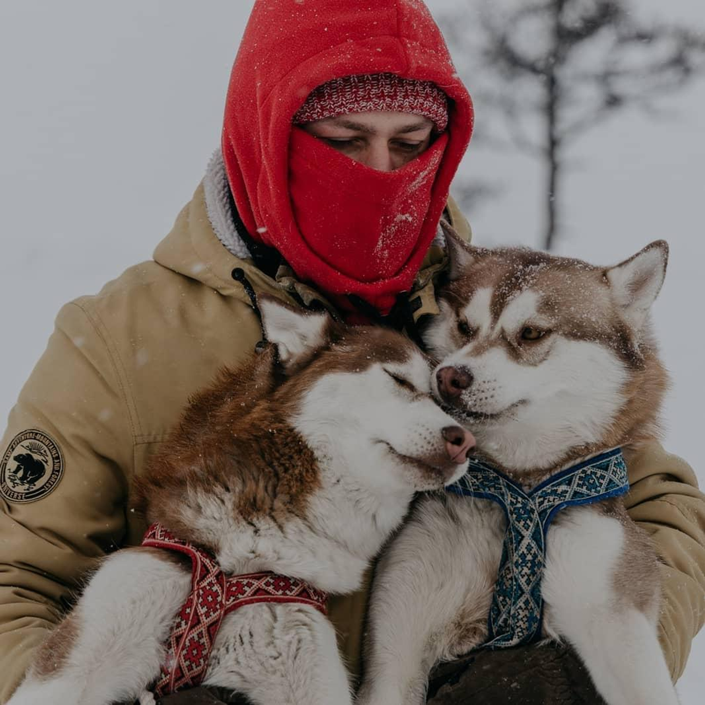Данила с любимцами