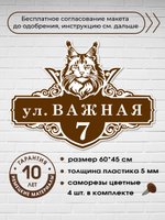 Адресная табличка на дом с котом мейн-куном, 60х45 см.