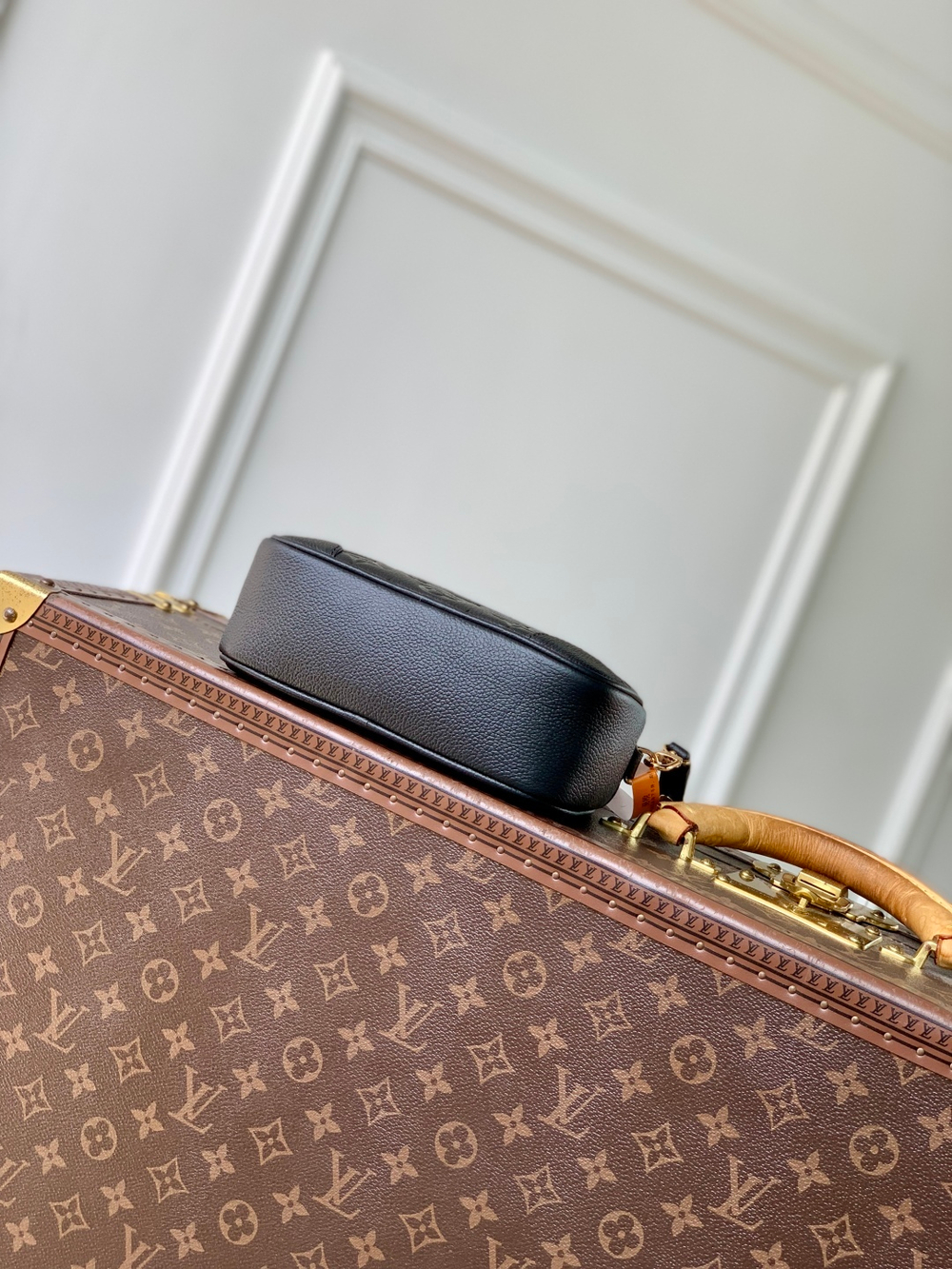 Louis Vuitton Tiny Camera Bag