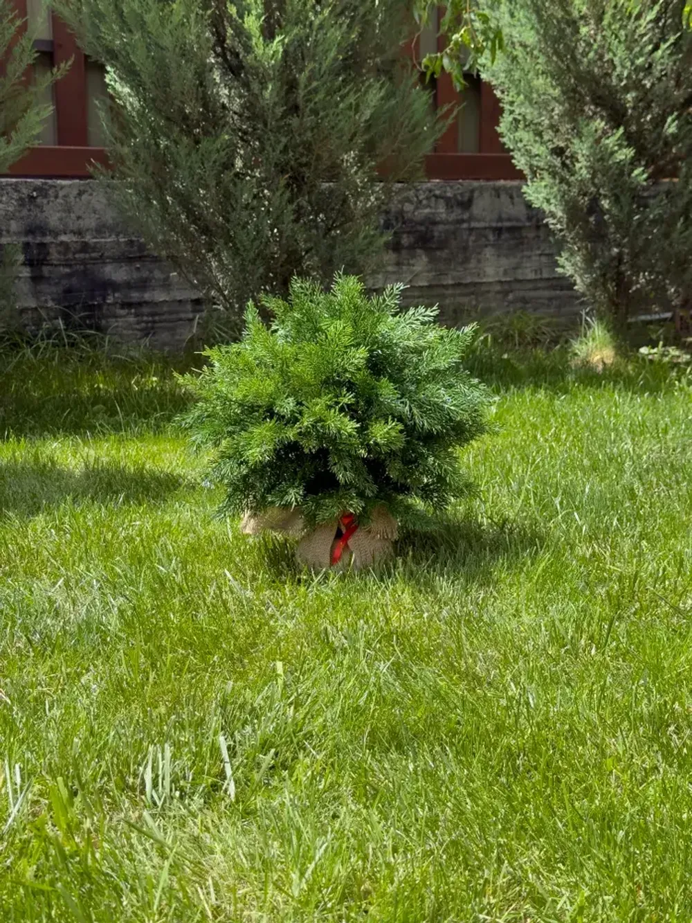 Туя-Шар искусственная (Литая хвоя) 40 см \ 70 см