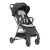 Прогулочная коляска Chicco Taormina Charcoal