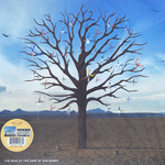 Biffy Clyro Opposites