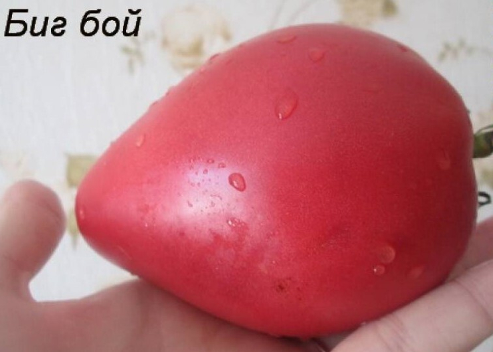 Большой Мальчик Big Boy