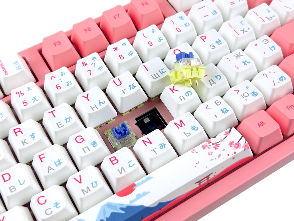 AKKO 3098B Doraemon Macaron  3 Modes RGB Hot Swap  Akko CS Jelly blue Switch,Cherry profile keycap