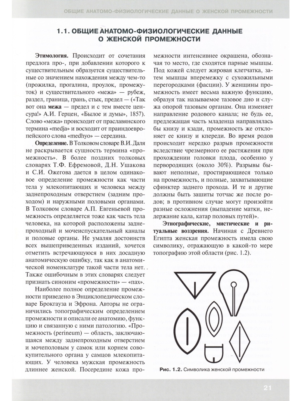 Клиническая анатомия женской промежности