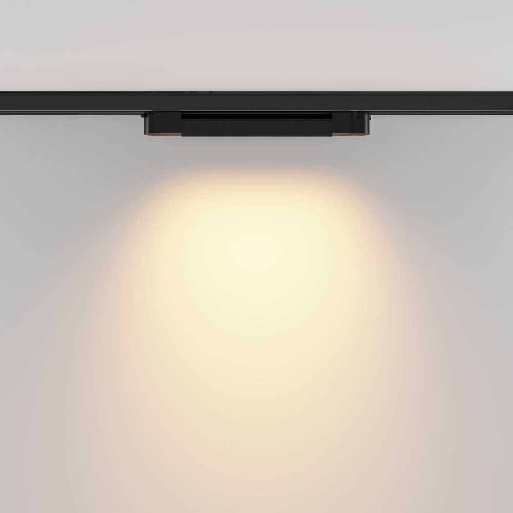 Трековый трехфазный светильник Maytoni Basis TR196-3-10W2.7K-B