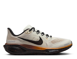 Кроссовки для бега мужские Nike Pegasus 41 Кремово-Коричневые