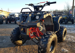 Квадроцикл RAPTOR 8
