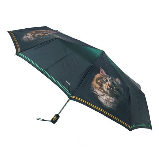 Женский зонт Три Слона Полный автомат 3102-G-02