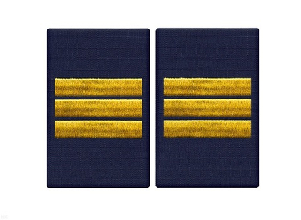 Фальшпогоны Полиция темно-синие с вышитыми лычками сержант