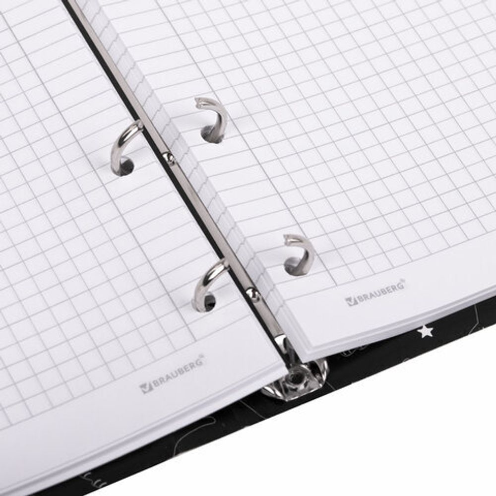 Тетрадь на кольцах А5 160х212 мм, 120 листов, картон, матовая ламинация, клетка, BRAUBERG, "Просто Кот", 404723