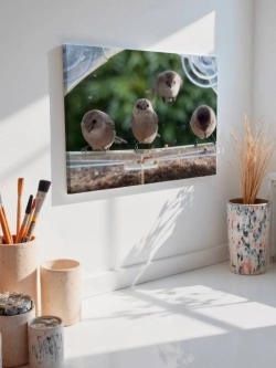 Картина на стену 40 X 50 Птицы