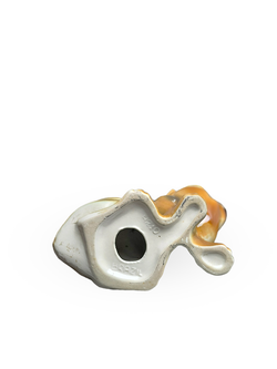 Фарфоровая статуэтка "Бассет-хаунд"