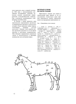 Конный спорт. Пособие для тренеров, преподавателей, коневодов и спортсменов | Э. Эзе