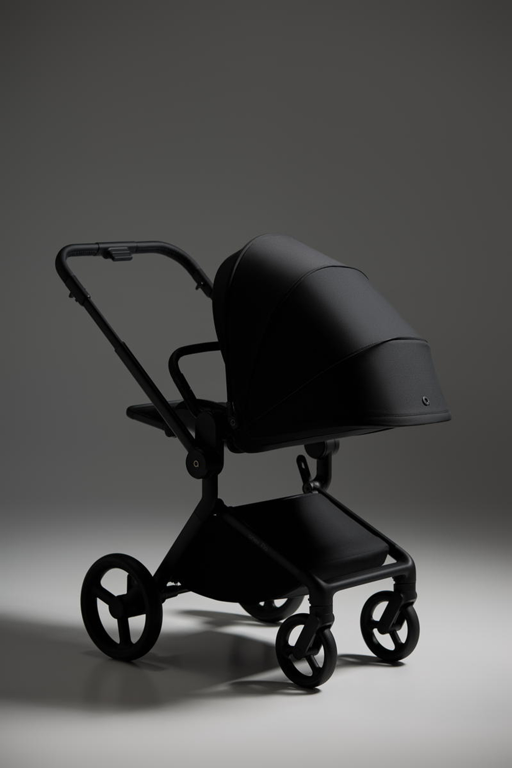 Детская коляска Anex Flo x Avionaut Cosmo 3 в 1 без адаптеров Lungo/ss-06 Black