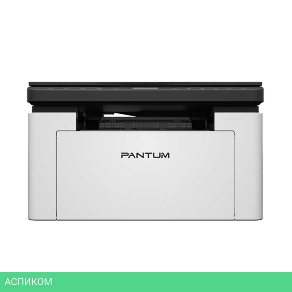 Принтер Pantum BP1800W черный/белый