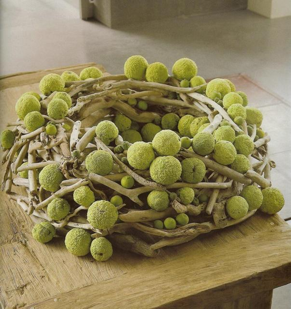 Natural Interior Design