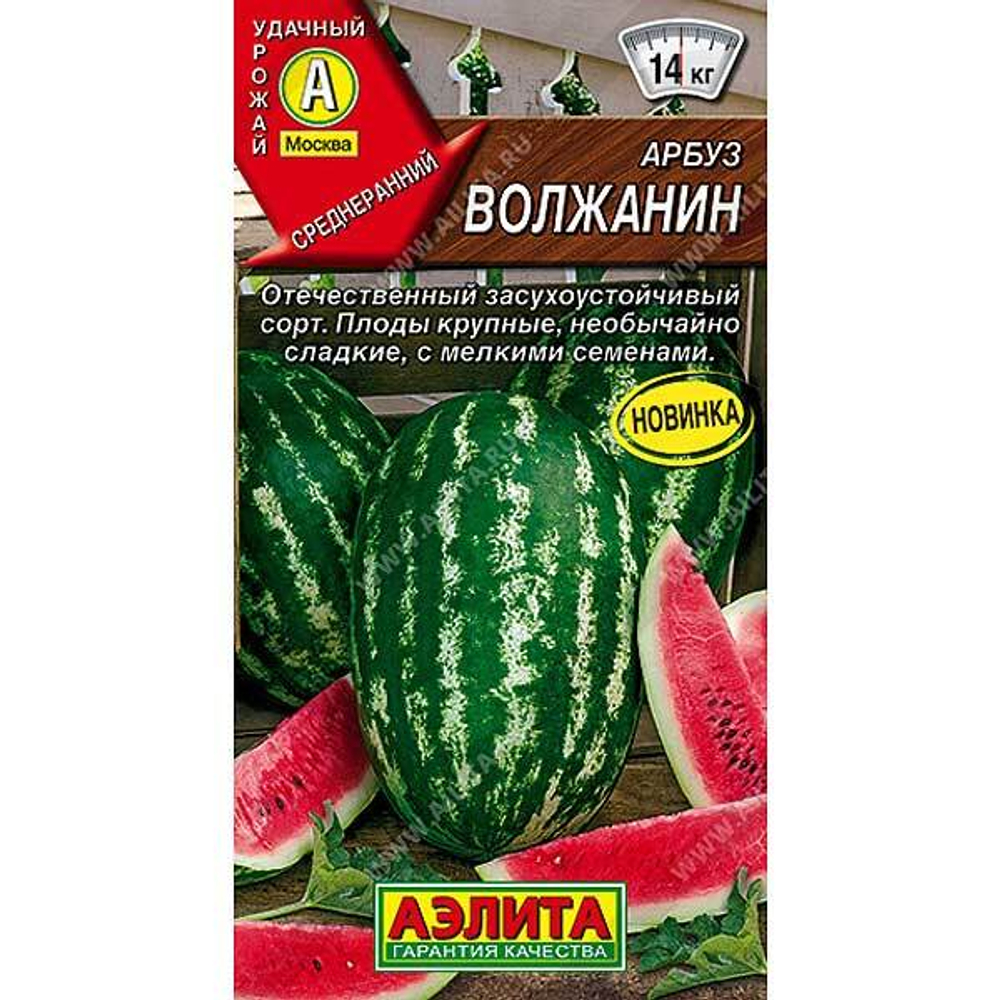 Арбуз Волжанин Аэлита Ц