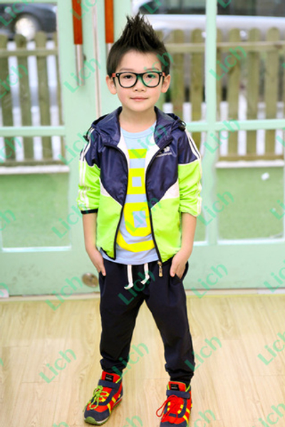 Ветровка двухцветная на молнии с капюшоном