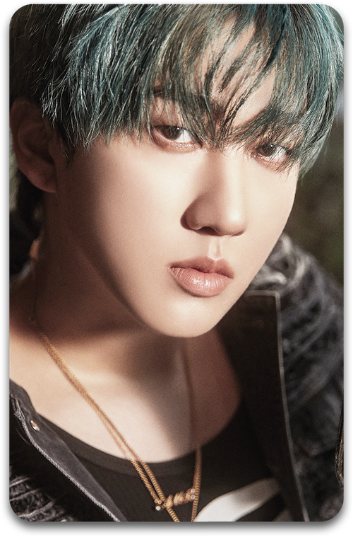 Карта / STRAY KIDS #2060