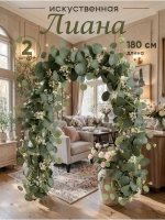 Лиана Эвкалипт папоротник