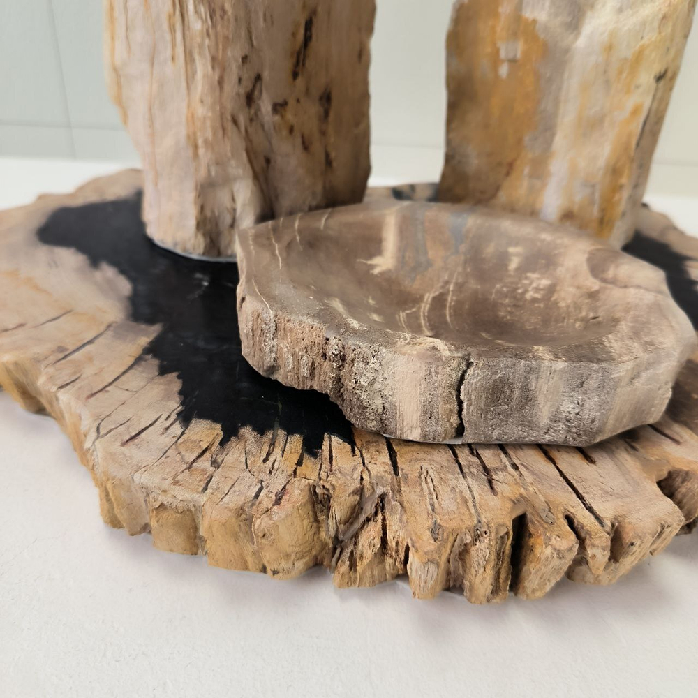 Набор из окаменелого дерева 4 предм Fossil Set NF-63281 поднос 149